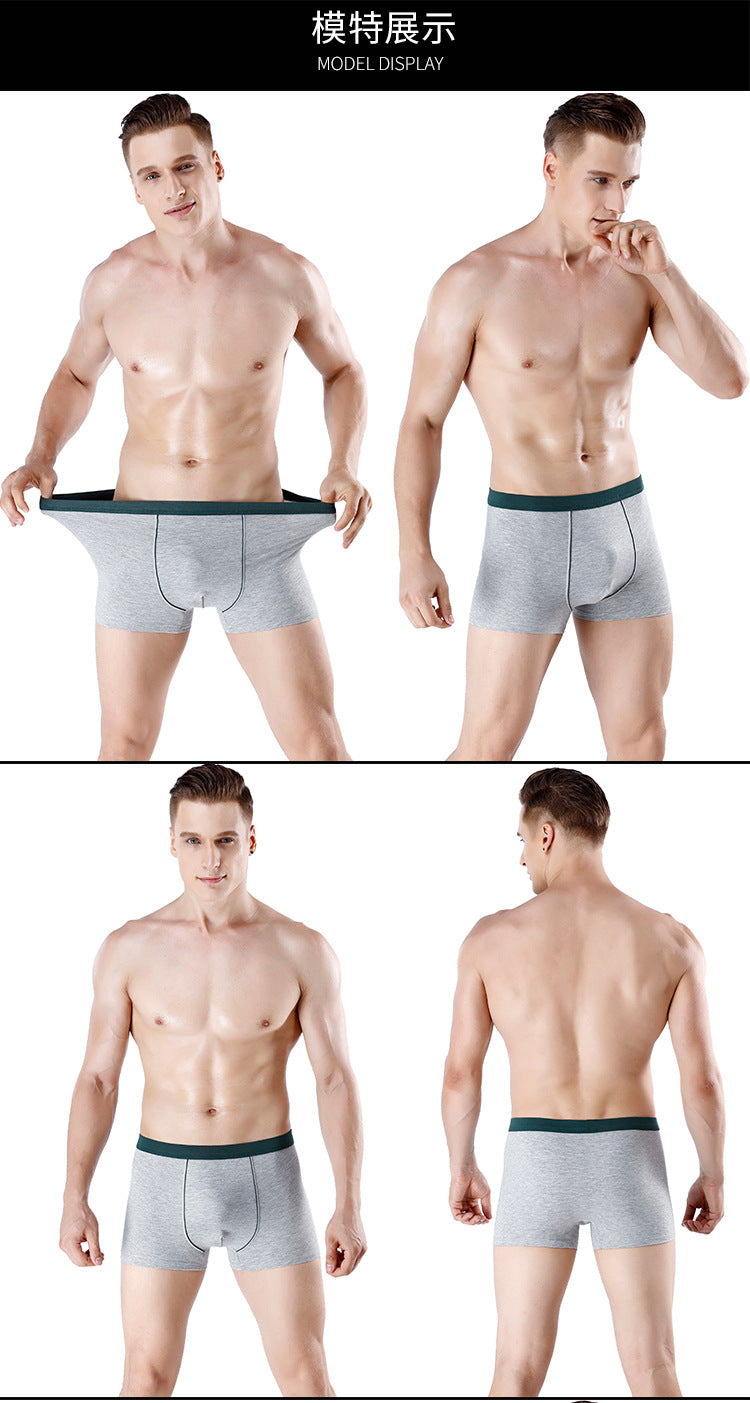 BIG BOYS BOXERS (xxl+)
