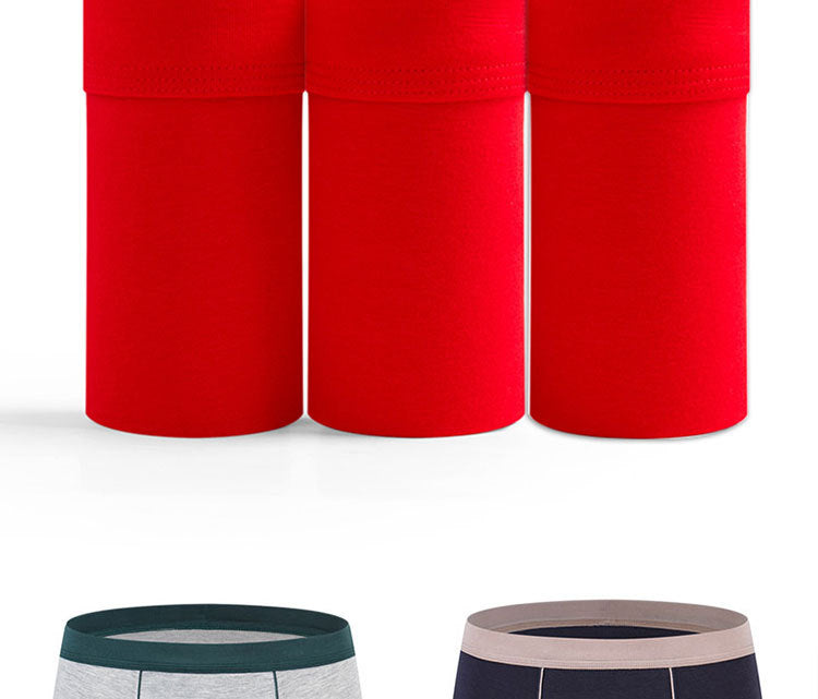BIG BOYS BOXERS (xxl+)