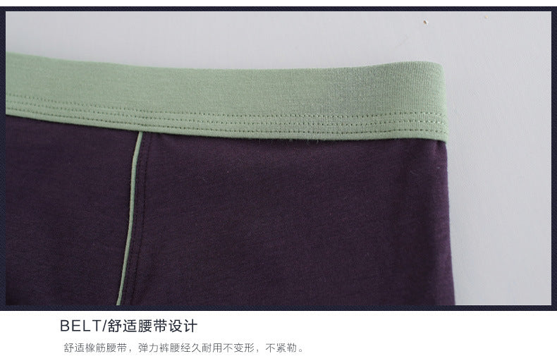 BIG BOYS BOXERS (xxl+)