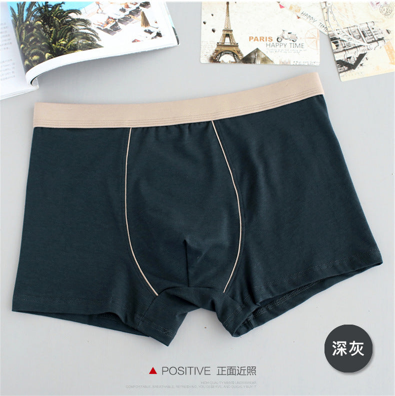BIG BOYS BOXERS (xxl+)