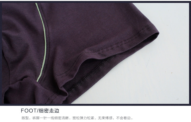 BIG BOYS BOXERS (xxl+)
