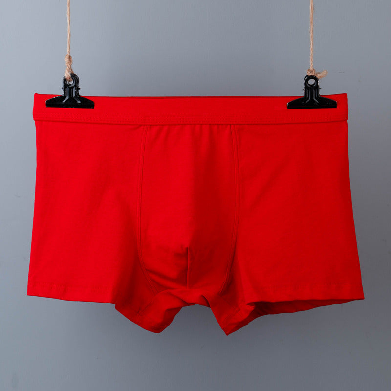 BIG BOYS BOXERS (xxl+)