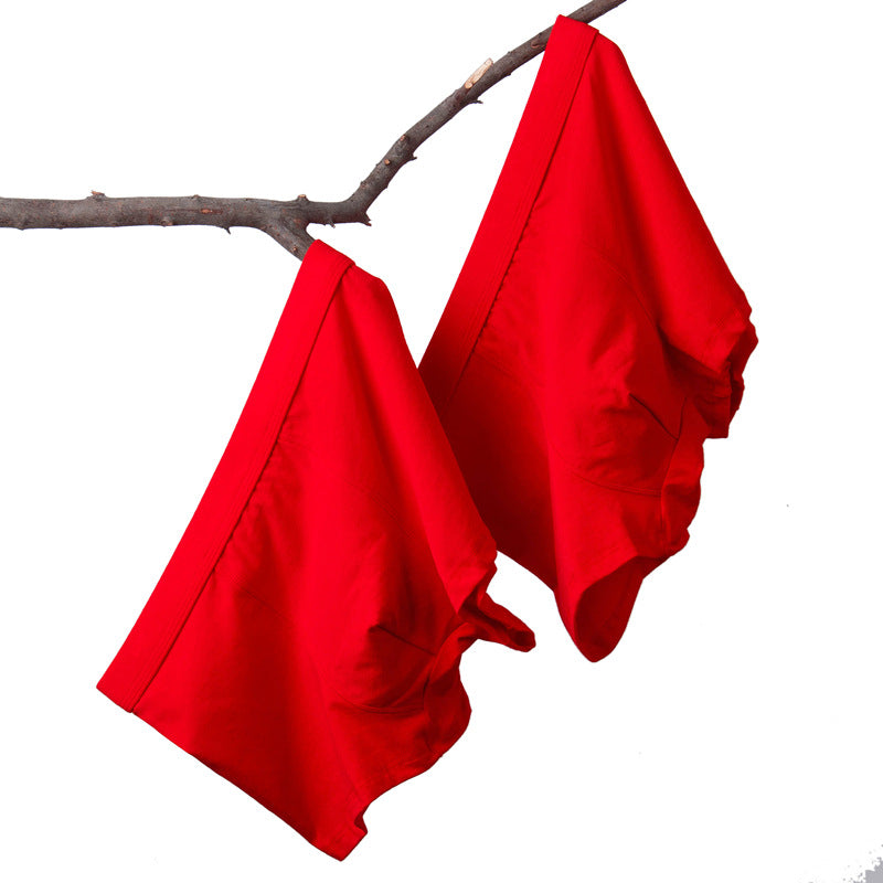 BIG BOYS BOXERS (xxl+)
