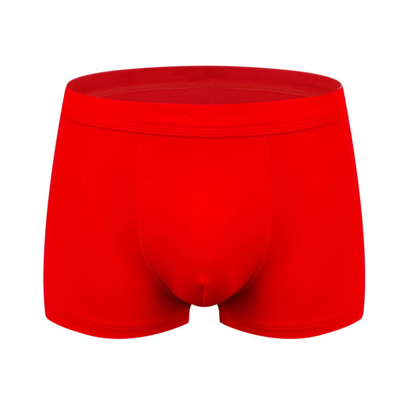 BIG BOYS BOXERS (xxl+)