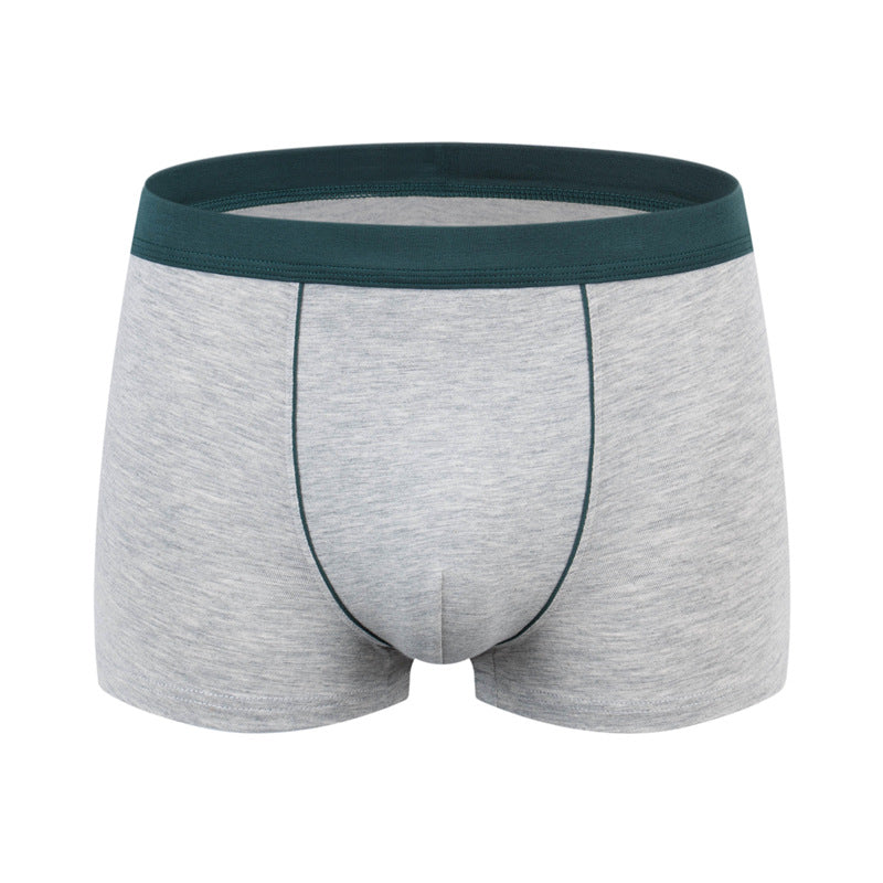 BIG BOYS BOXERS (xxl+)