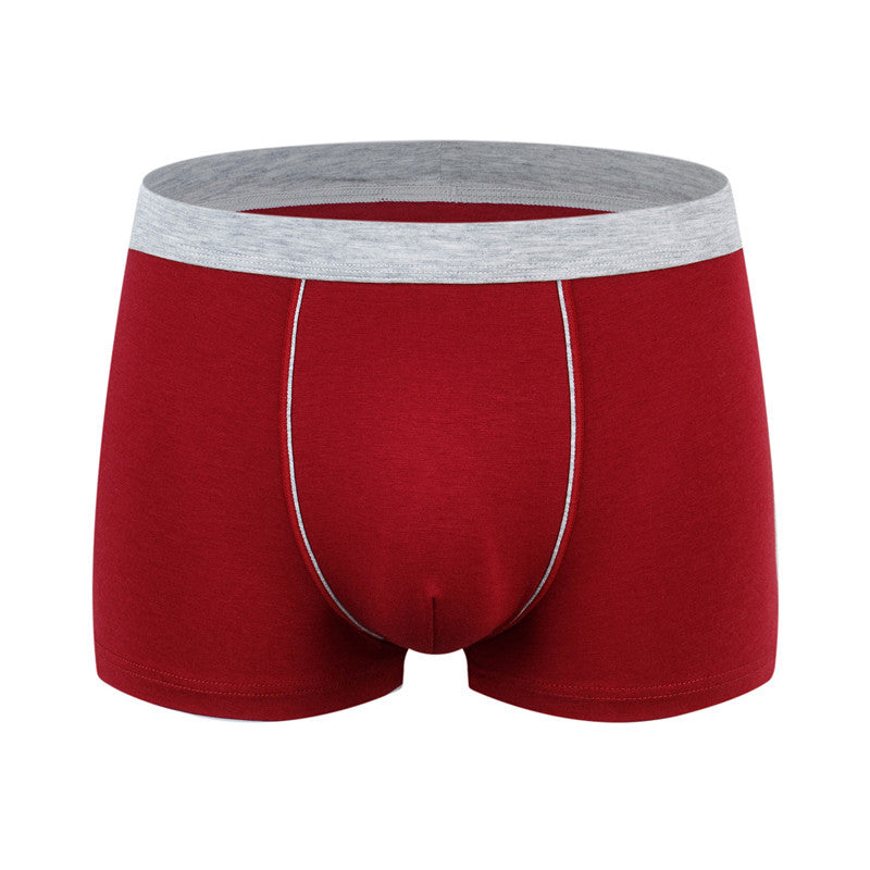 BIG BOYS BOXERS (xxl+)