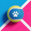 Printed Rubber Pet Tennis Chew Toy by Trenches of Mariana