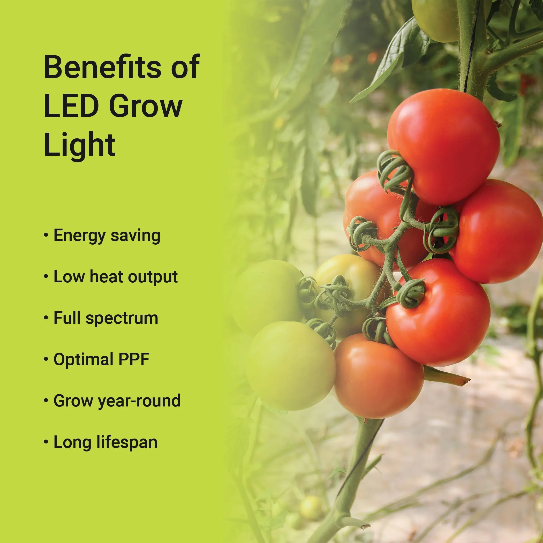 Grow Bulb 401 PPF 900 Lumens 30W Energy-Saving E26 Base 50000 Hours Lifetime 1-Year Warranty for SMB Trade Show Booth #524-Order by Trenches of Mariana