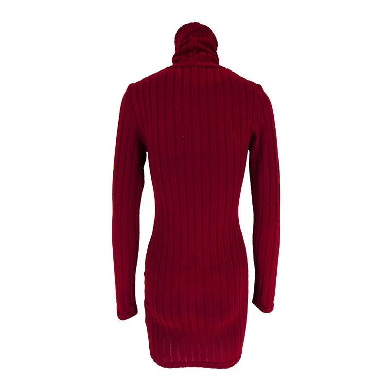 Turtle Neck Bodycon Dress