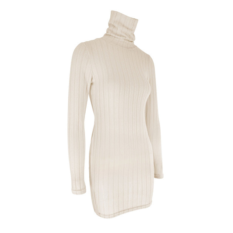 Turtle Neck Bodycon Dress