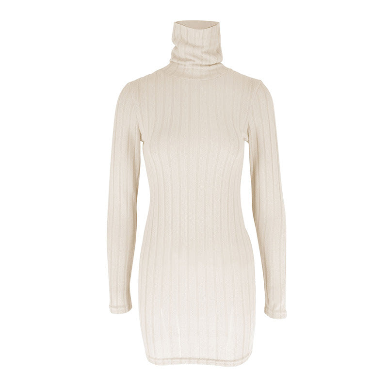 Turtle Neck Bodycon Dress