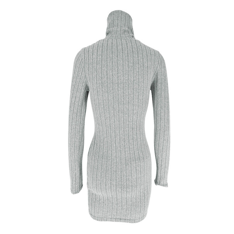 Turtle Neck Bodycon Dress