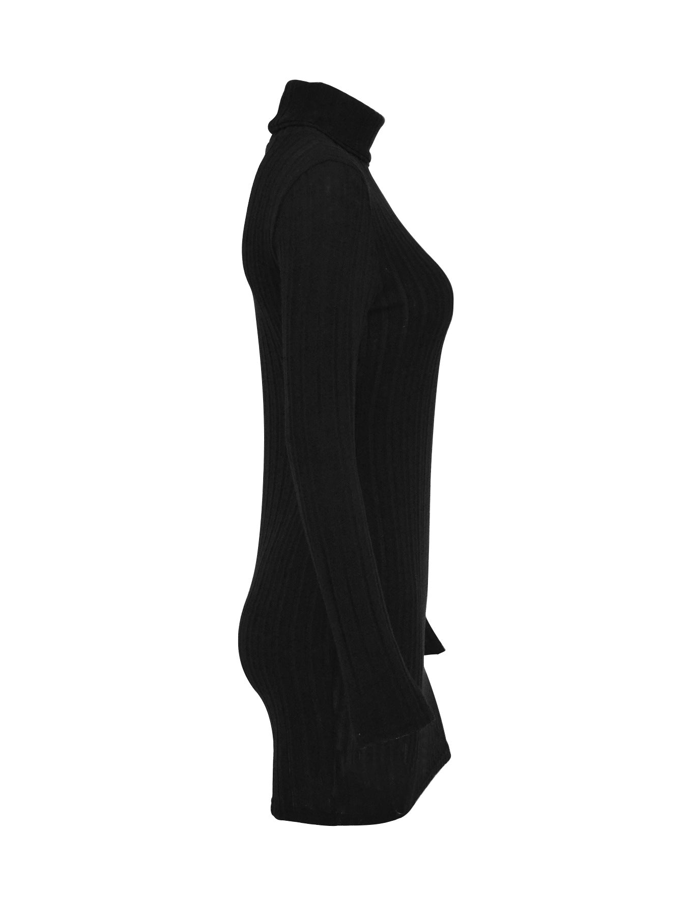 Turtle Neck Bodycon Dress