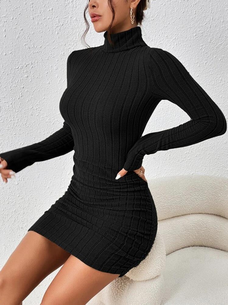 Turtle Neck Bodycon Dress