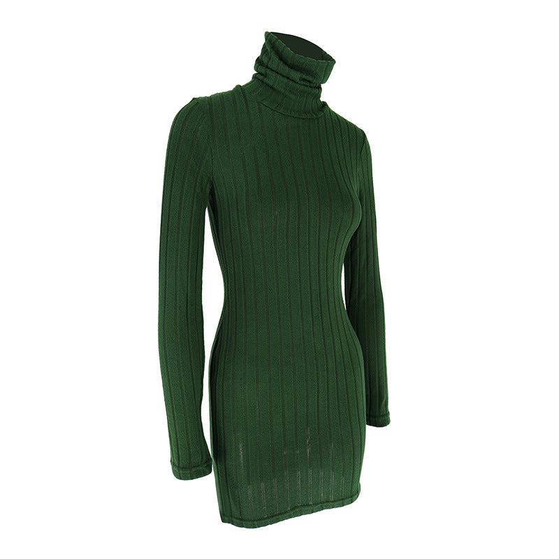 Turtle Neck Bodycon Dress