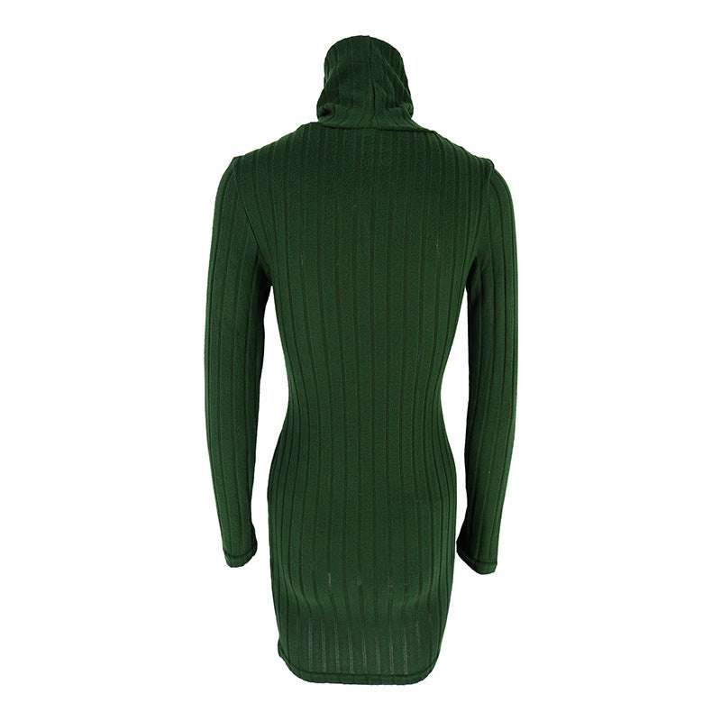 Turtle Neck Bodycon Dress