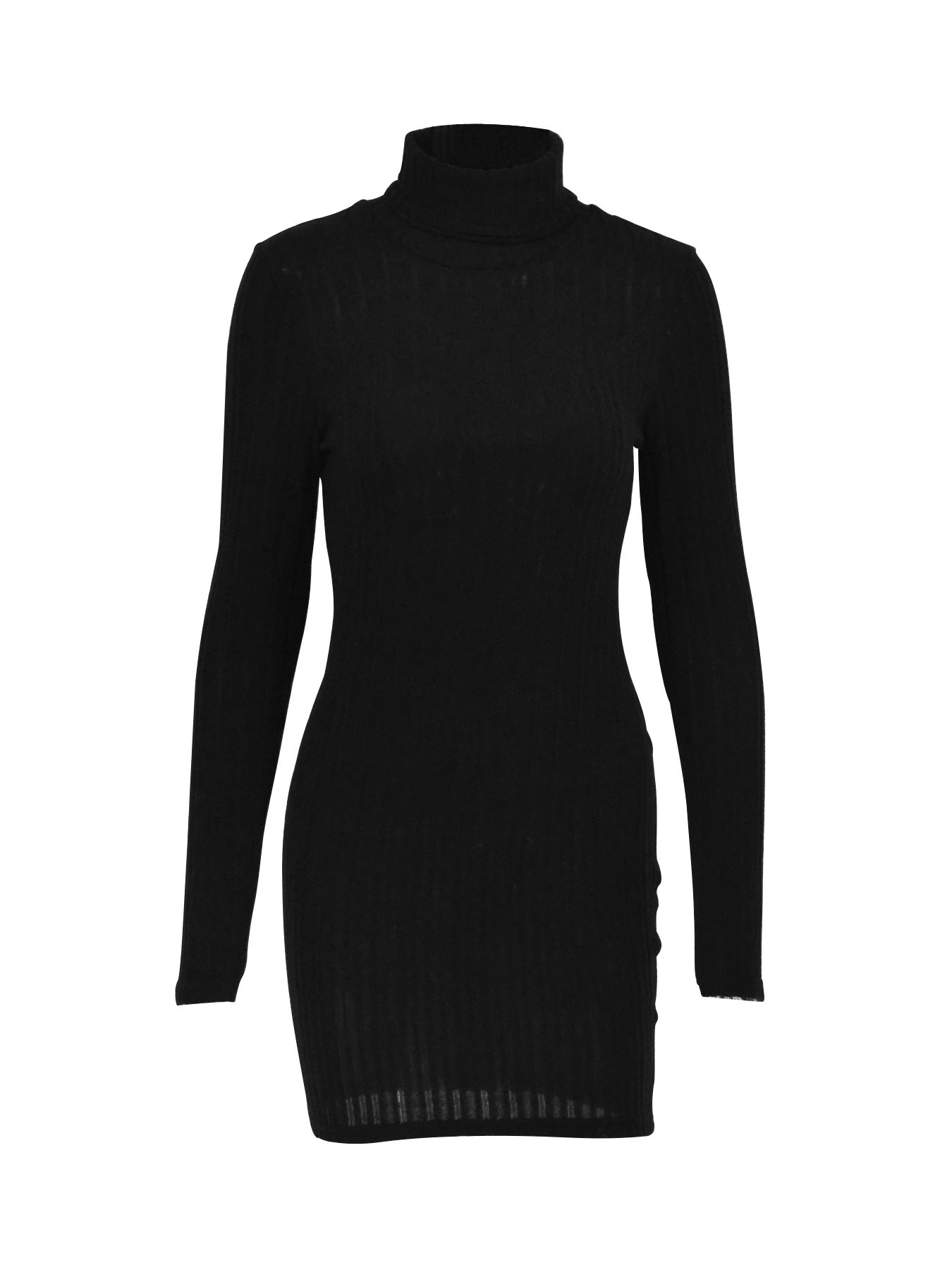 Turtle Neck Bodycon Dress