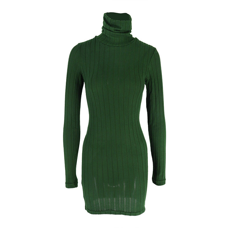 Turtle Neck Bodycon Dress