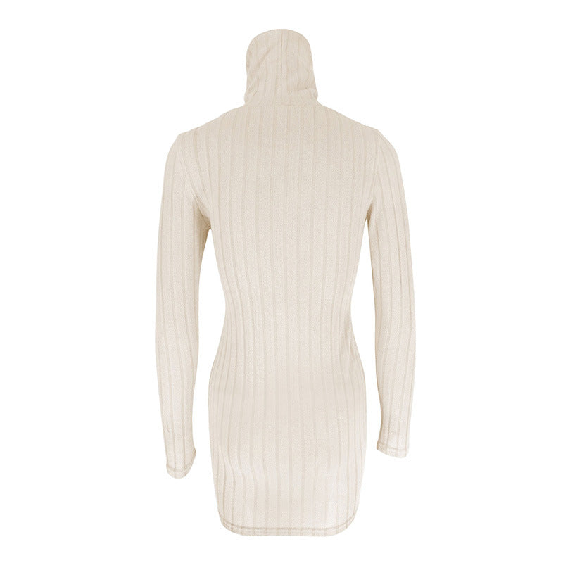 Turtle Neck Bodycon Dress