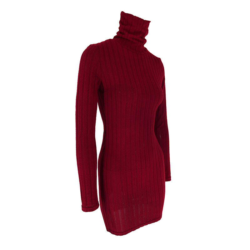 Turtle Neck Bodycon Dress