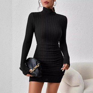Turtle Neck Bodycon Dress