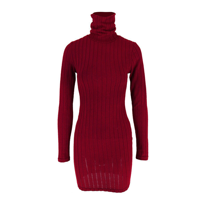 Turtle Neck Bodycon Dress