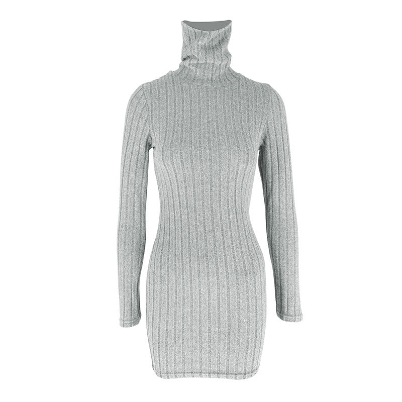 Turtle Neck Bodycon Dress