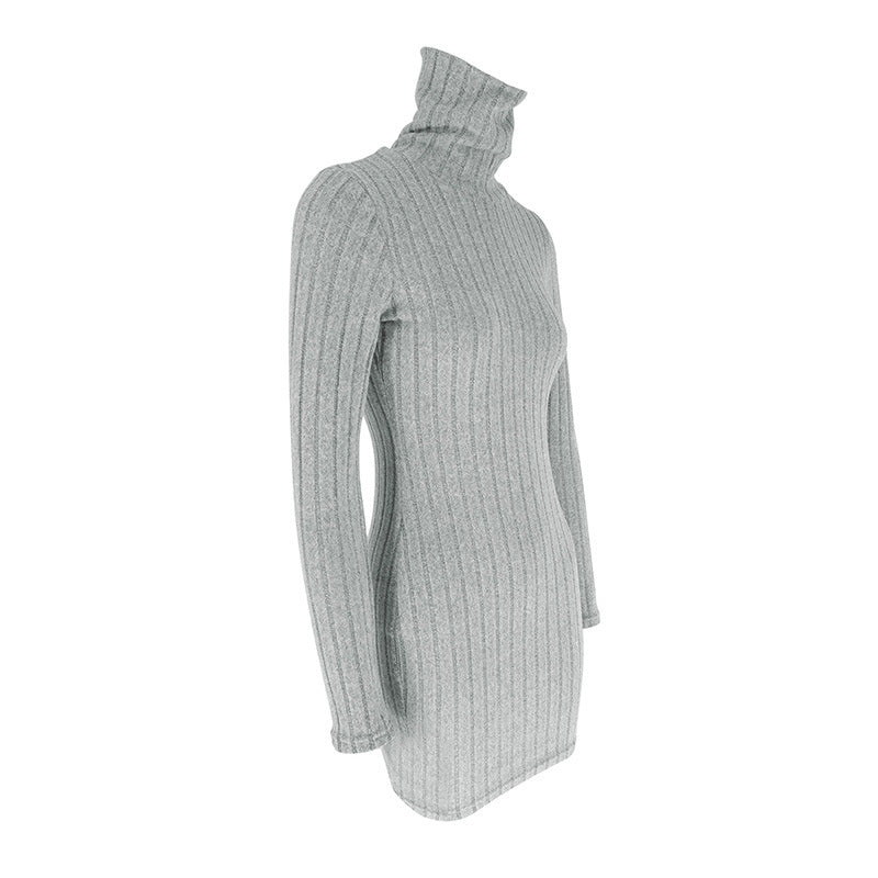 Turtle Neck Bodycon Dress