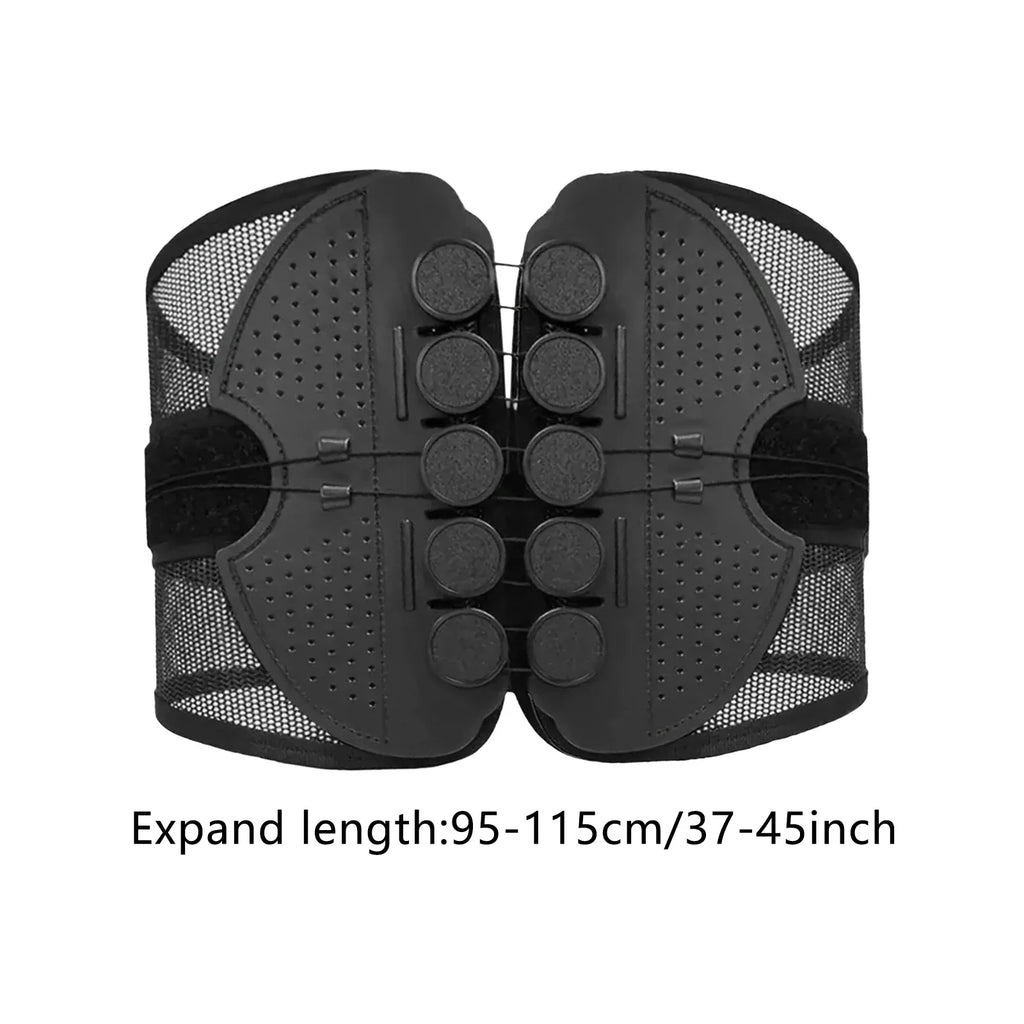 Universal Waist Trainer/Brace