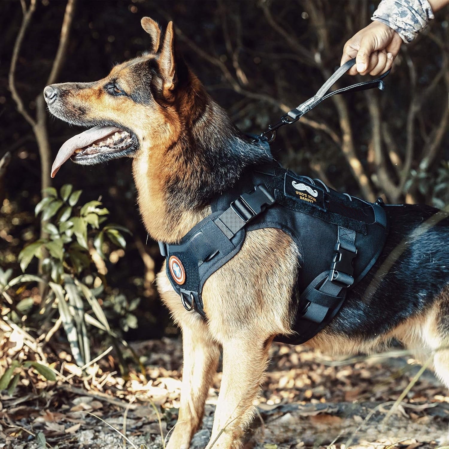 Pet harness by Trenches of Mariana