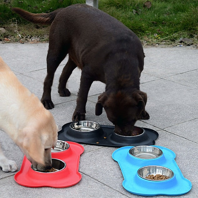 Pet Bowl Stainless Steel Double Bowl by Trenches of Mariana