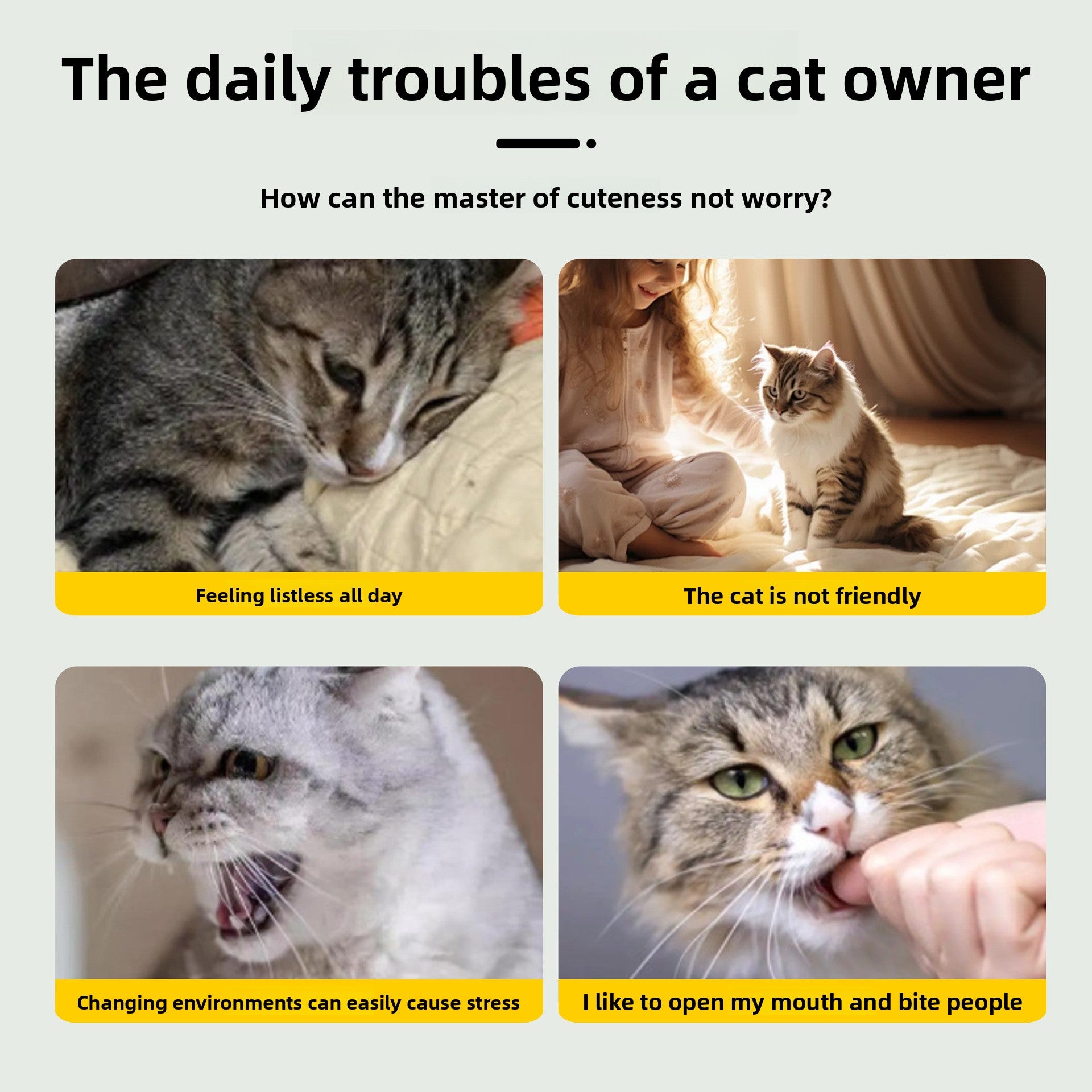 Cat Spray, Cat Happiness Water, Gall Extract Hydrosol by Trenches of Mariana