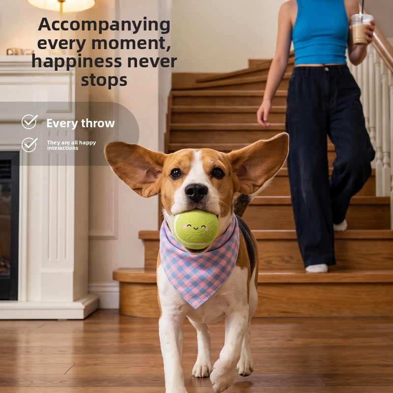 Printed Rubber Pet Tennis Chew Toy by Trenches of Mariana