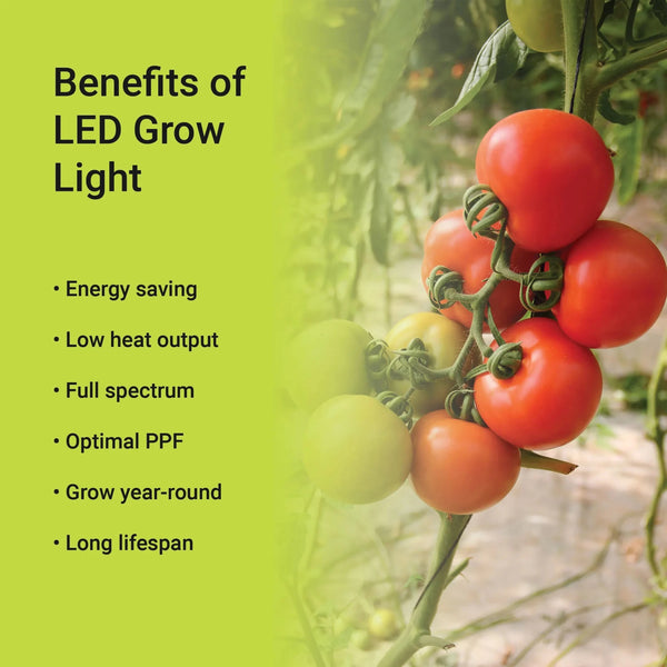 Green House Light bulb by Trenches of Mariana with 900 lumens, 30W energy-saving grow bulb, E26 base, long-lasting for indoor gardening